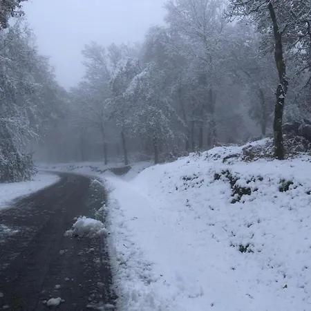 Retiro Da Arminda * Canedo (Porto)