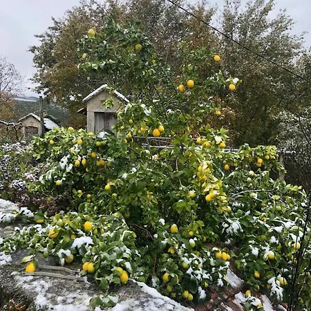 Retiro Da Arminda * Canedo (Porto)