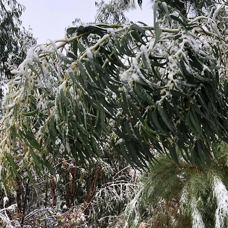 Κατάλυμα σε φάρμα Retiro Da Arminda