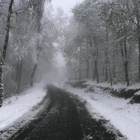 Retiro Da Arminda Κατάλυμα σε φάρμα