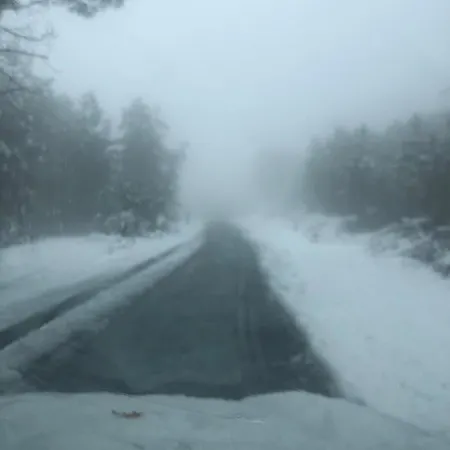 Bauernhof Retiro Da Arminda Canedo (Porto)