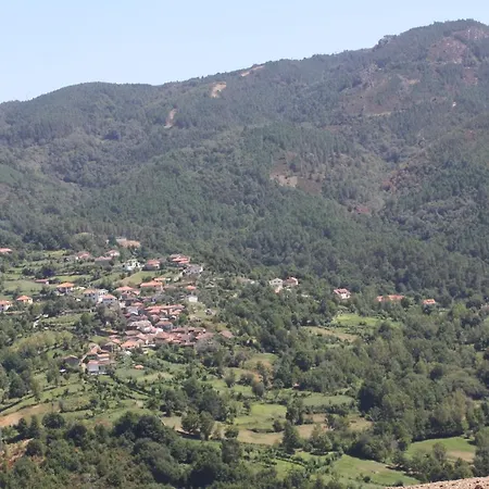 Retiro Da Arminda Κατάλυμα σε φάρμα *