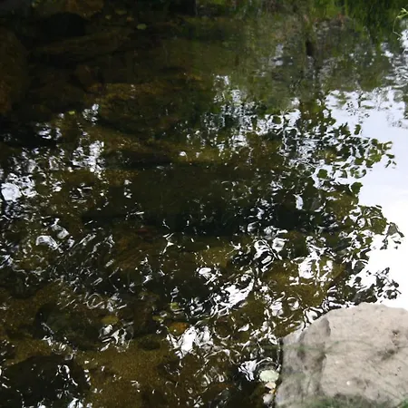 Retiro Da Arminda