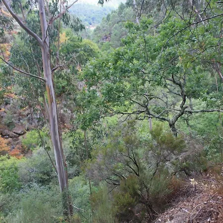 Retiro Da Arminda Κατάλυμα σε φάρμα *