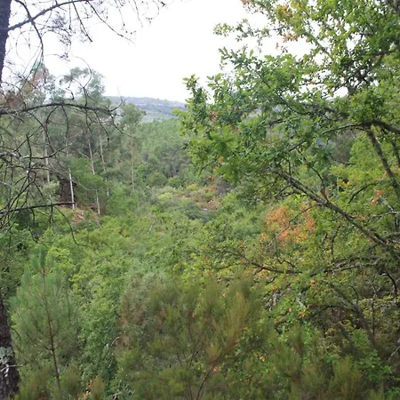 Retiro Da Arminda Canedo (Porto)