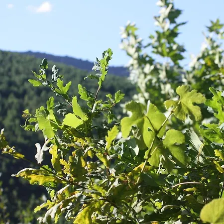 Retiro Da Arminda Canedo (Porto)