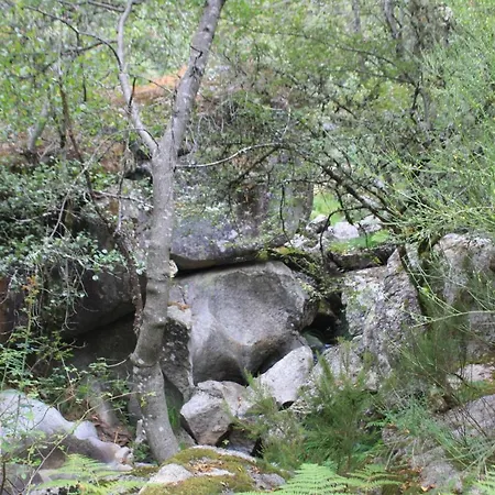 Séjour à la ferme Retiro Da Arminda