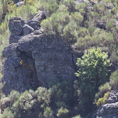 Retiro Da Arminda *