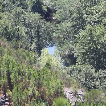 Retiro Da Arminda * Canedo (Porto)
