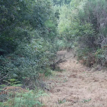 Séjour à la ferme Retiro Da Arminda *