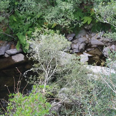 Retiro Da Arminda Κατάλυμα σε φάρμα *