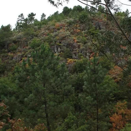Retiro Da Arminda Canedo (Porto)