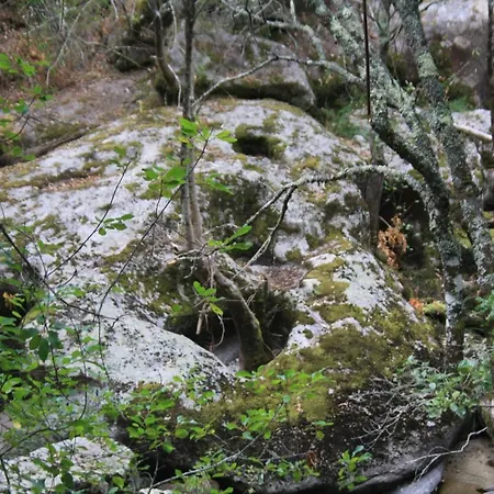 Retiro Da Arminda Séjour à la ferme Canedo (Porto)