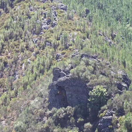 Retiro Da Arminda Κατάλυμα σε φάρμα
