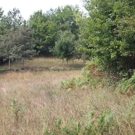 Retiro Da Arminda Séjour à la ferme *