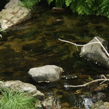 Retiro Da Arminda Κατάλυμα σε φάρμα Canedo (Porto)