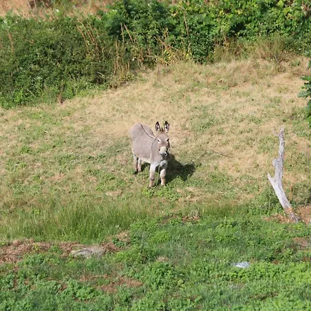 Séjour à la ferme Retiro Da Arminda *