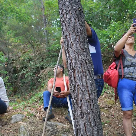 팜스테이 Retiro Da Arminda