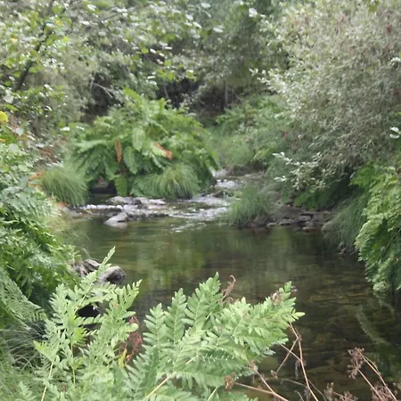 Retiro Da Arminda Canedo (Porto)
