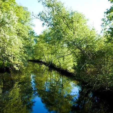 Alojamento de Turismo Rural Retiro Da Arminda Canedo (Porto)