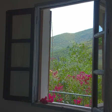 Retiro Da Arminda Κατάλυμα σε φάρμα *