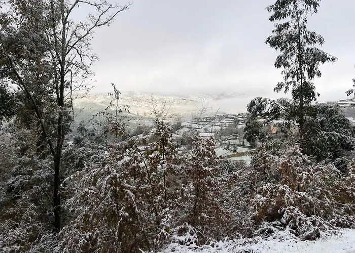 Farma Retiro Da Arminda *