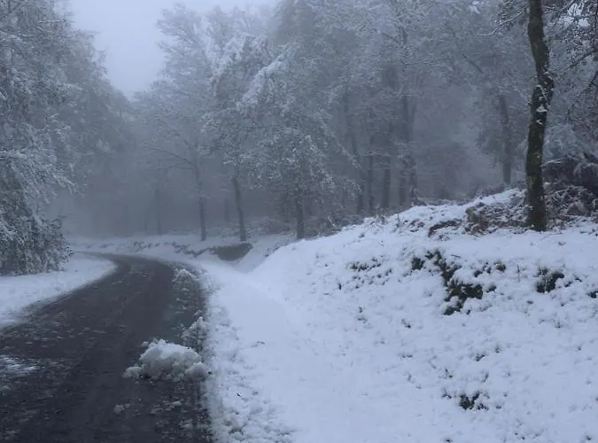 Retiro Da Arminda * Canedo (Porto)