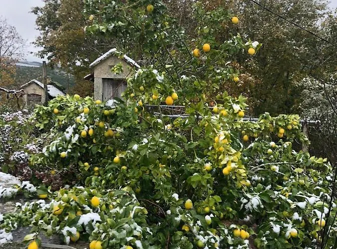 Retiro Da Arminda * Canedo (Porto)