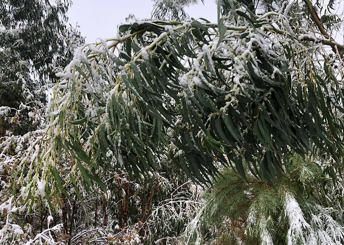 Vakantieboerderij Retiro Da Arminda