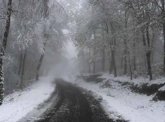 Retiro Da Arminda Farma