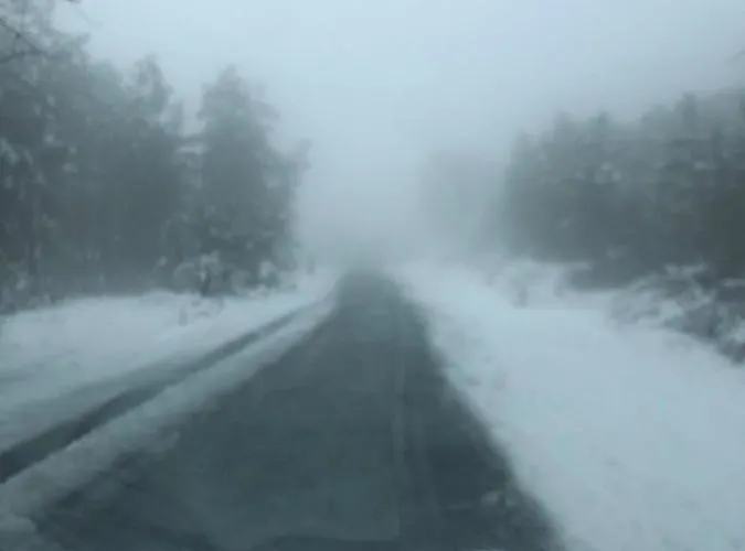 农家乐 Retiro Da Arminda Canedo (Porto)