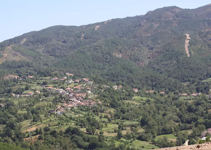 Retiro Da Arminda Vakantieboerderij *