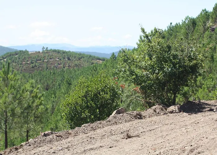 Retiro Da Arminda * Canedo (Porto)