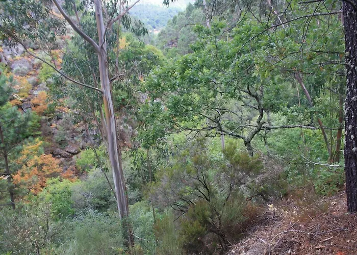 Retiro Da Arminda Farma *