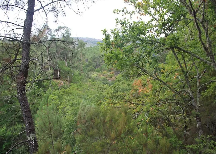 Retiro Da Arminda Canedo (Porto)