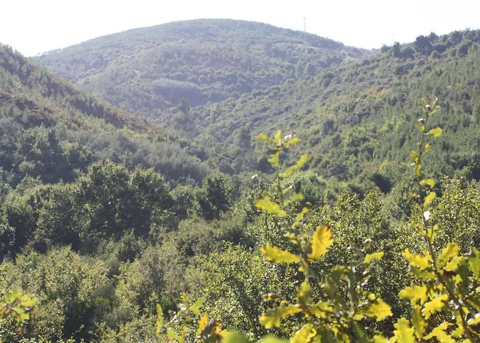 Farma Retiro Da Arminda