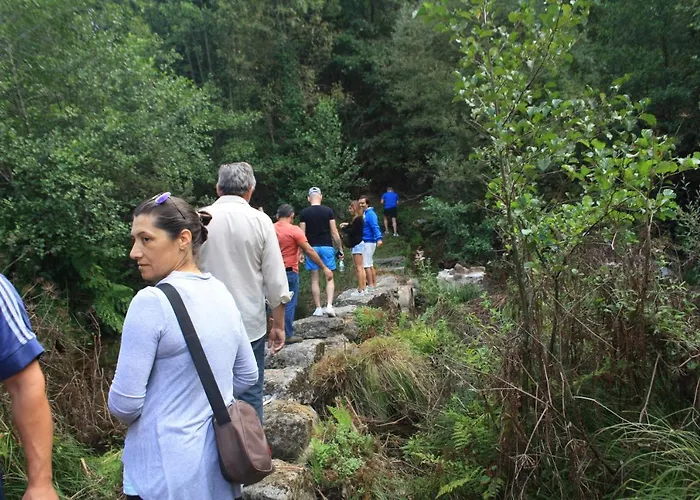 Farma Retiro Da Arminda Canedo (Porto)