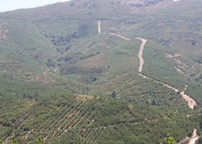 Farma Retiro Da Arminda *