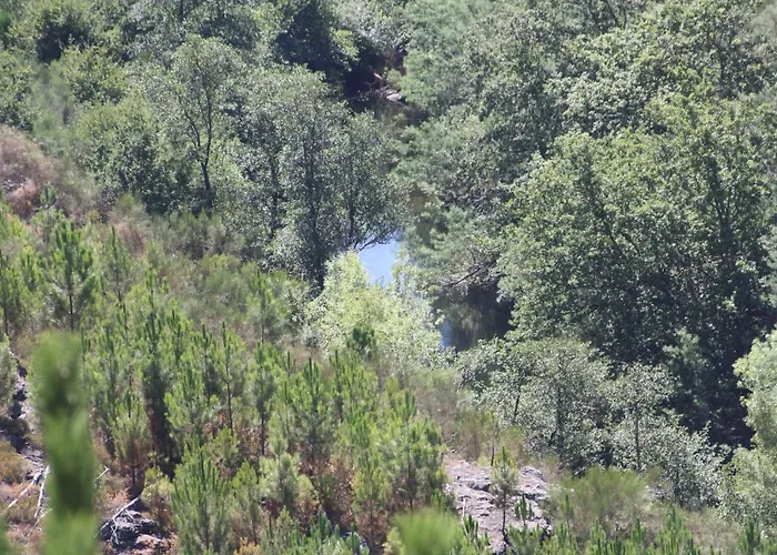 Retiro Da Arminda * Canedo (Porto)