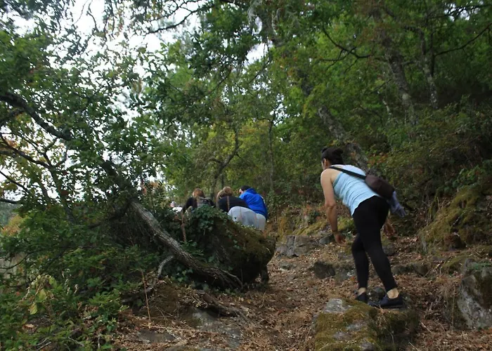Farma Retiro Da Arminda *