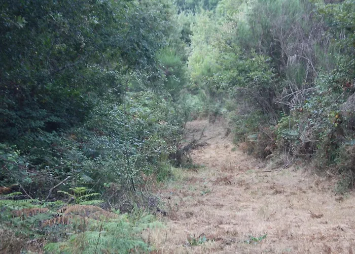 Vakantieboerderij Retiro Da Arminda *