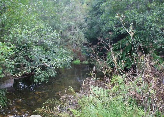 Farma Retiro Da Arminda *