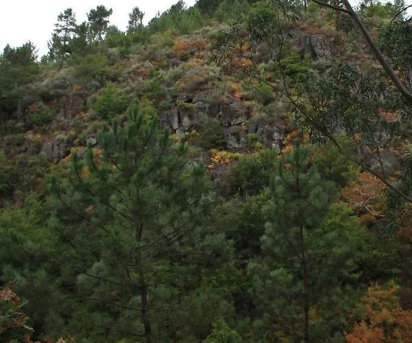 Retiro Da Arminda Canedo (Porto)