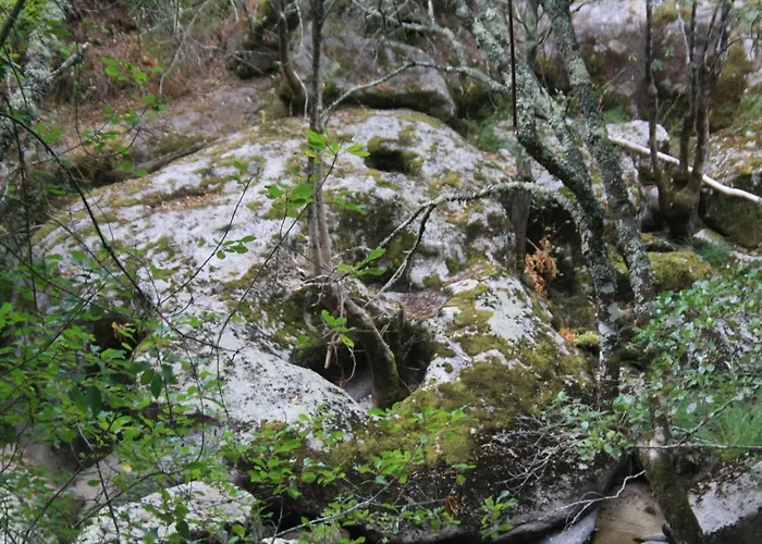 Retiro Da Arminda Vakantieboerderij Canedo (Porto)