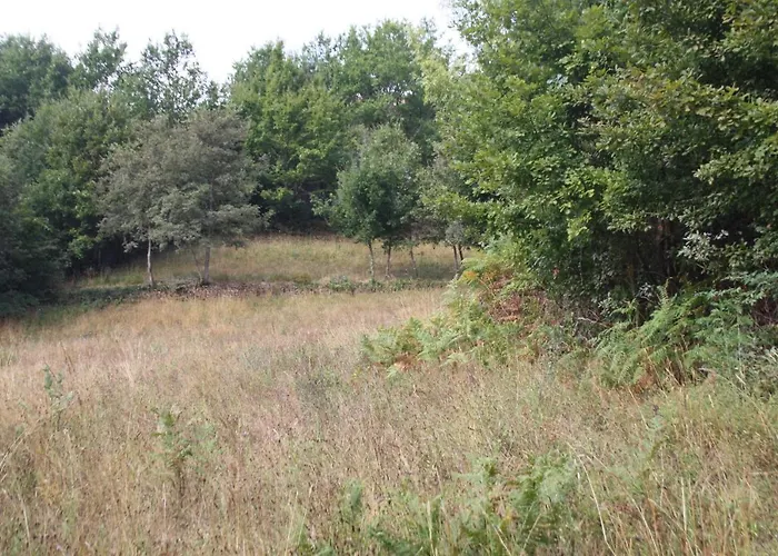 Retiro Da Arminda Vakantieboerderij *