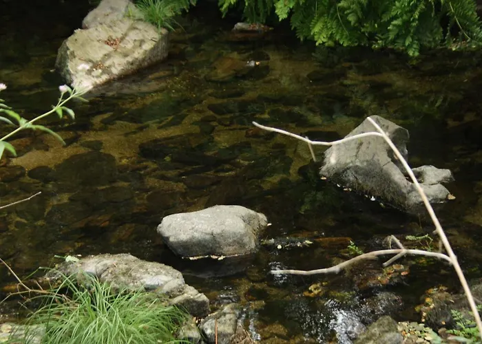 Retiro Da Arminda Farma Canedo (Porto)