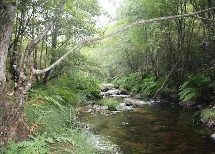 Vakantieboerderij Retiro Da Arminda *