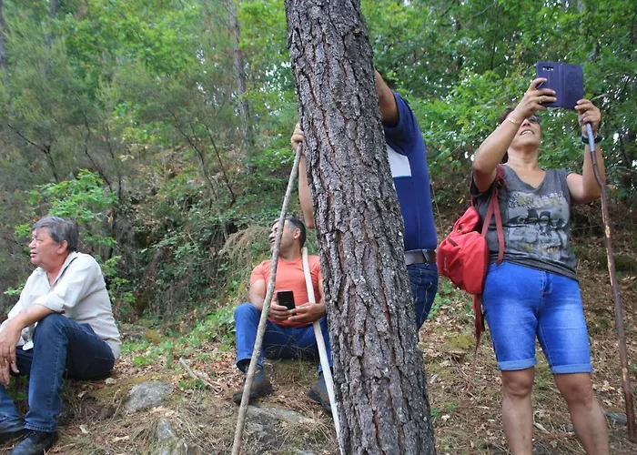 Farma Retiro Da Arminda