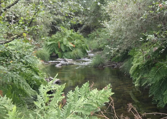 Retiro Da Arminda Canedo (Porto)