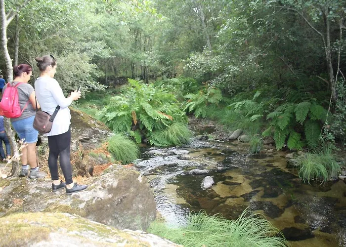 Farma Retiro Da Arminda *